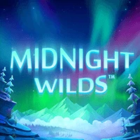 Midnight Wild